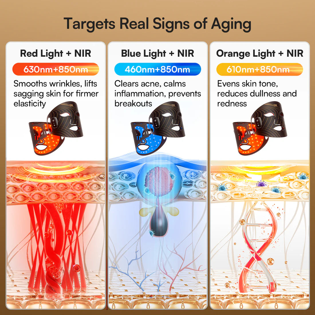 2. How Red Light & Near-Infrared (NIR) Work